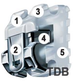 damon, bretelles damon, braces damon, crochets damon